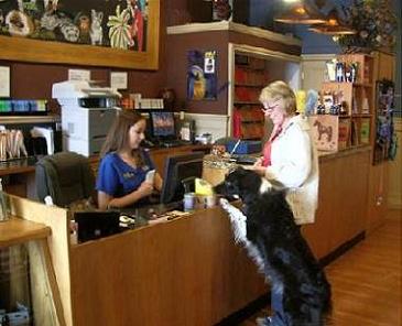 Whatcom Road Veterinary Hospital reception checkin